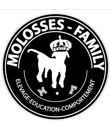 Molossess Family