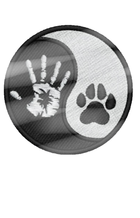 pension canine
